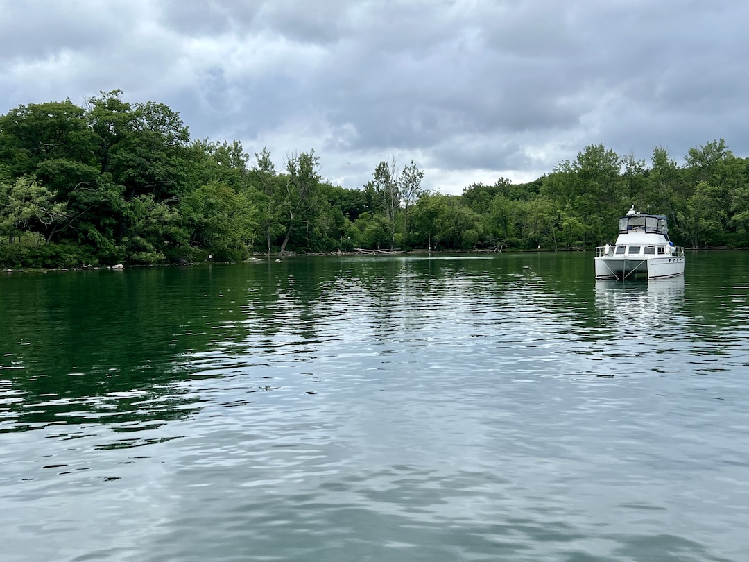Day 3 – Peaceful Picton Island